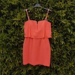 NWT BCBG Kate mini dress Sz. 4 in Ambrosia